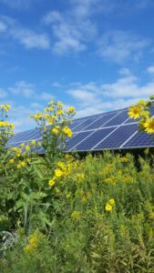 North Campus Solar Panels