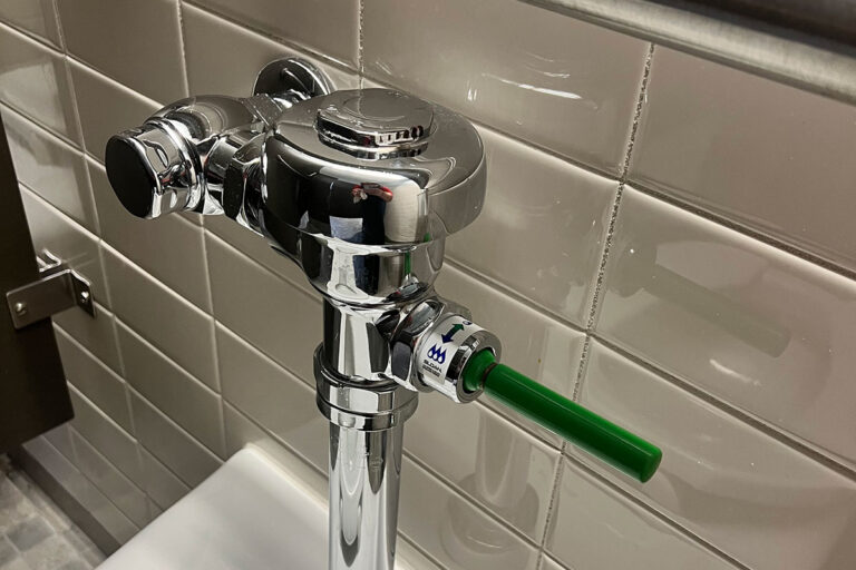 Dual-flush toilet