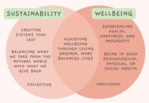 A Venn diagram with “Sustainability” on the left and “Wellbeing” on the left. It illustrates the concept of sustainable well-being.