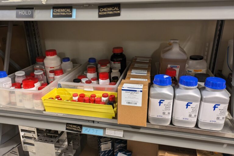 A shelf holds multiple bottles of assorted laboratory chemicals.