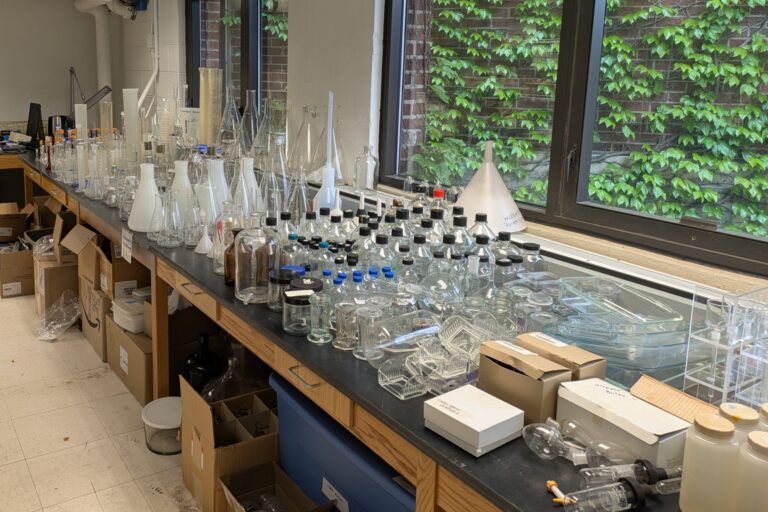 A table holds a variety of glass flasks and bottles for labs.